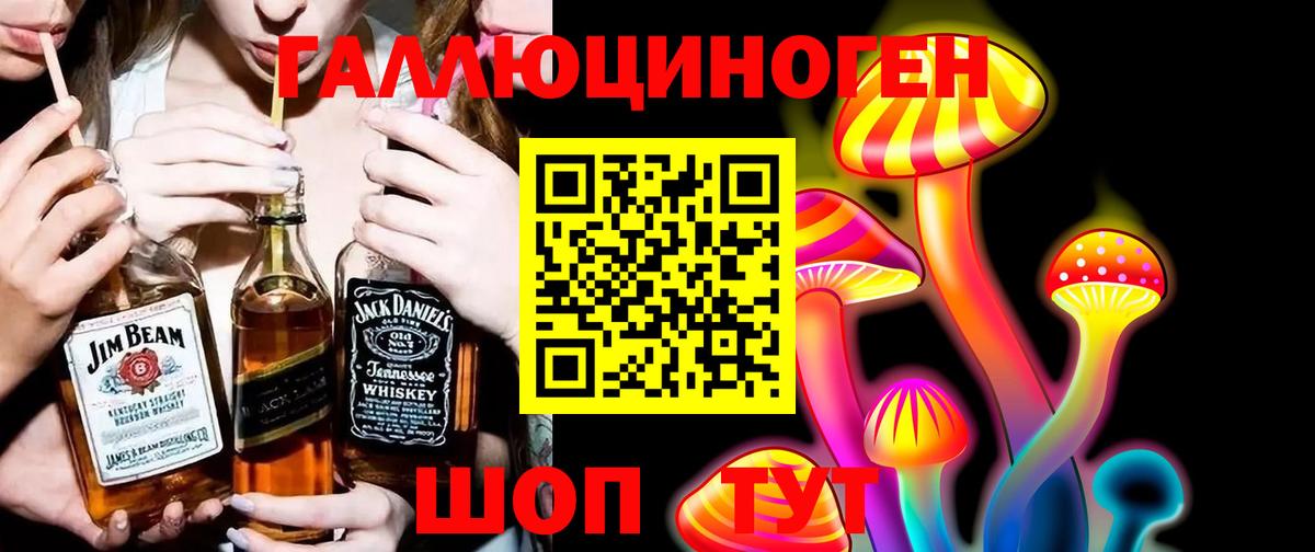 Псилоцибиновые грибы Psilocybine cubensis  Вход с VPN  Алатырь 
